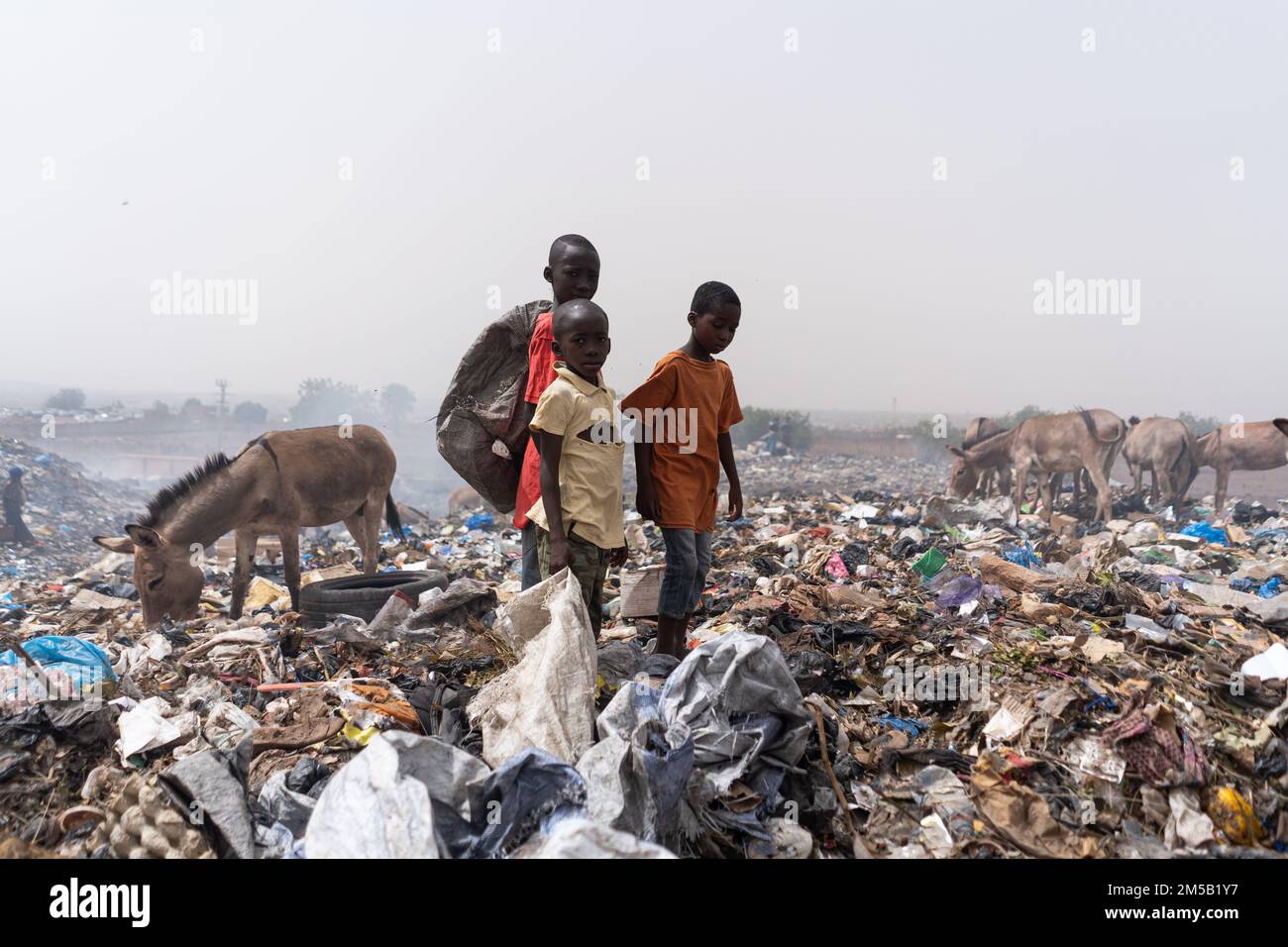 Trois enfants de rue africains debout dans un dépotoir à la vapeur au milieu des ânes à la recherche d'articles recyclables à vendre Banque D'Images