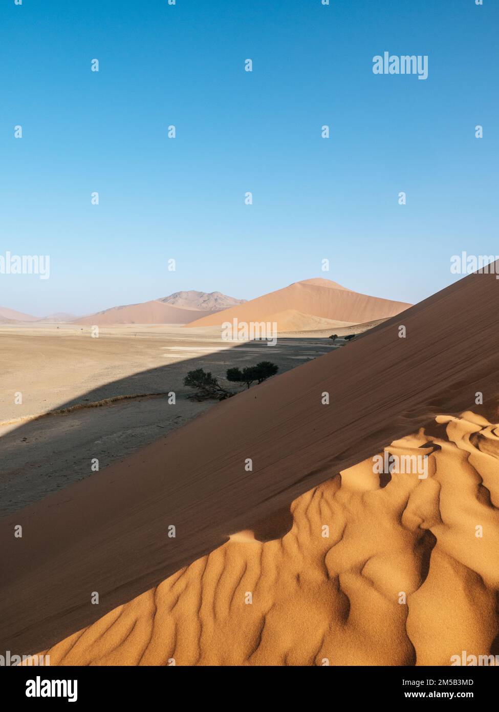 Vue depuis la Dune 45 au parc national de Sesriem désert de Sossousvlei en Namibie au coucher du soleil Banque D'Images