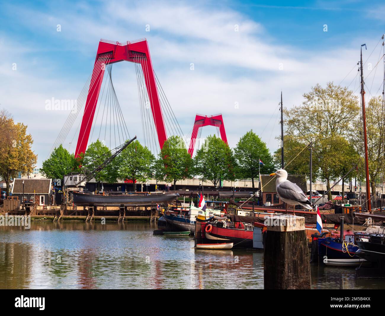 Rotterdam, pays-Bas - le 28 avril 2022 : vue sur le pont de Willemsbrug, un pont rouge à câbles d'une superficie totale d'environ 318 mètres. Banque D'Images