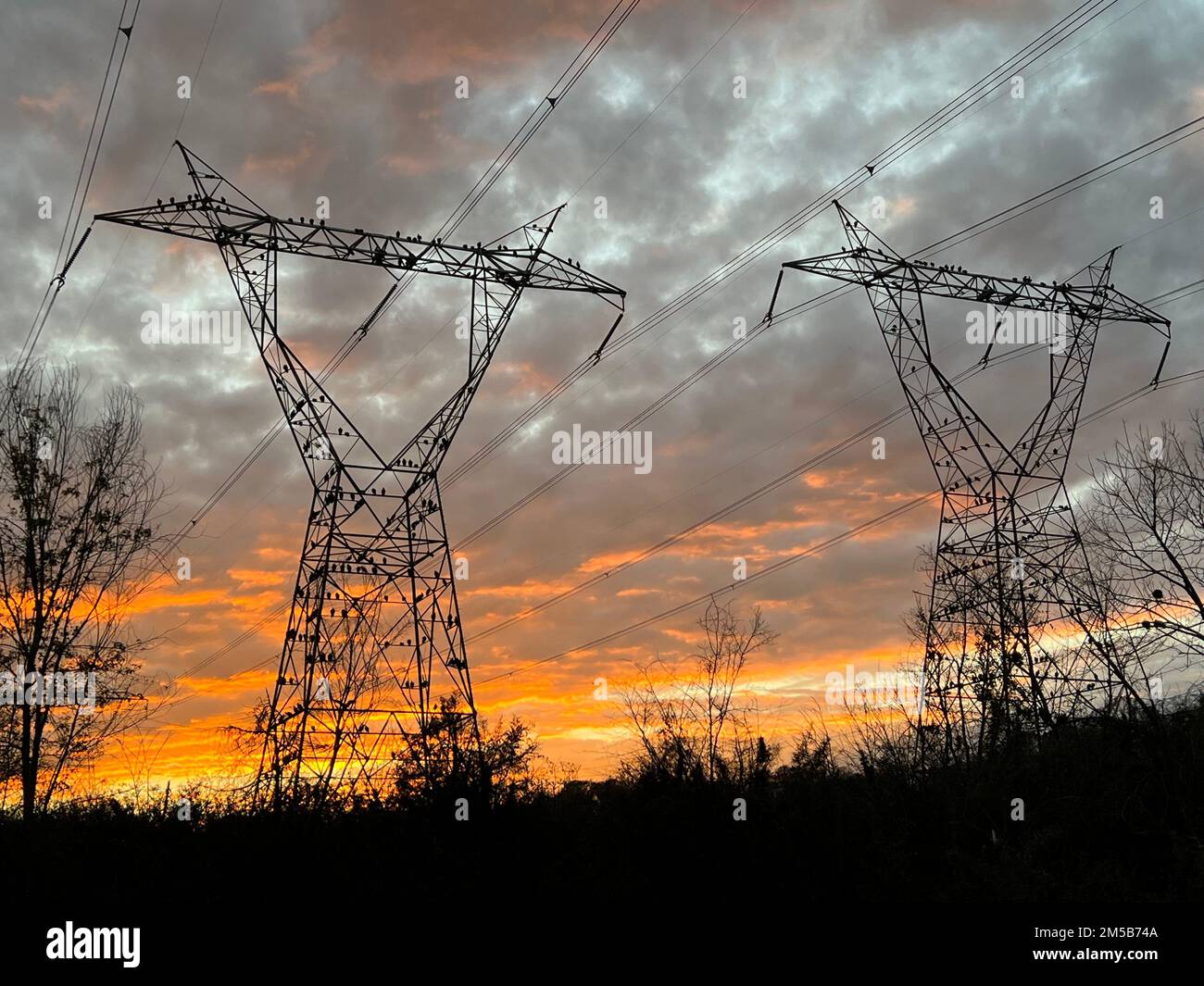 Tours de transmission silhouetées avec des oiseaux qui rôde pendant un coucher de soleil orange Banque D'Images