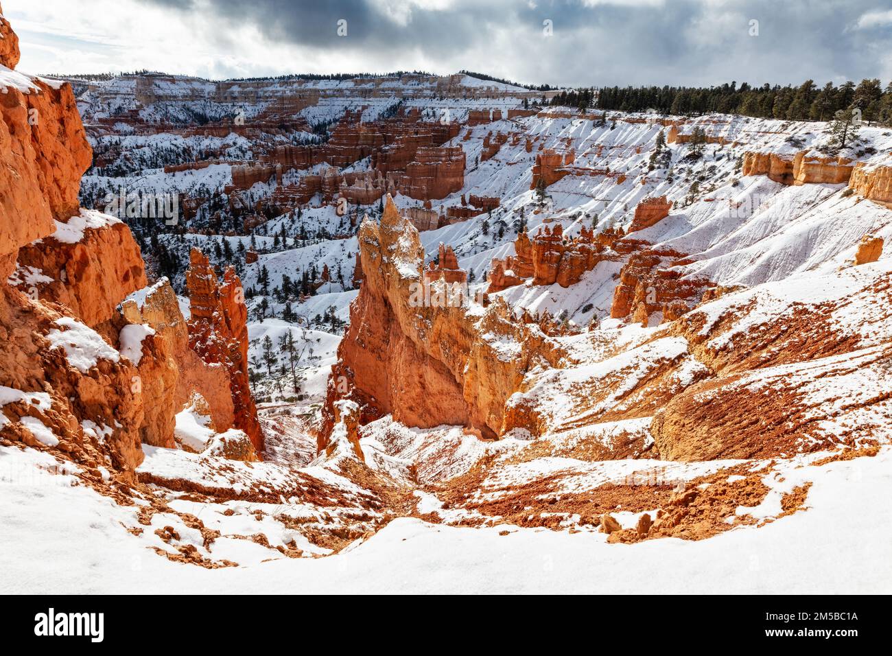 Neige d'hiver dans le parc national de Bryce Canyon, Utah Banque D'Images