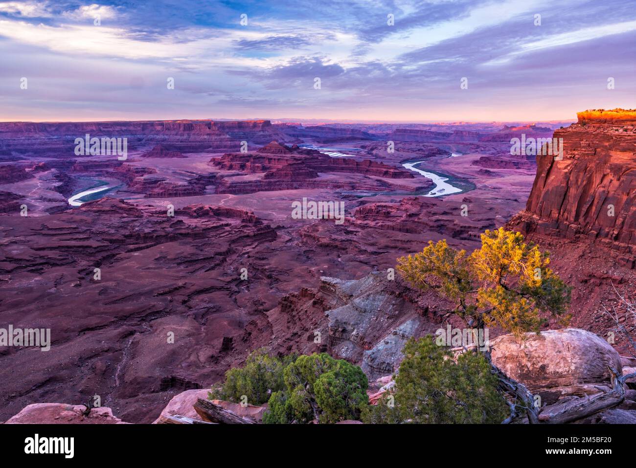 La dernière lumière de la journée est un pinyon et la mesa surplombe Canyonlands dans le parc de loisirs Canyon Rils, au sud de Moab, Utah. Banque D'Images