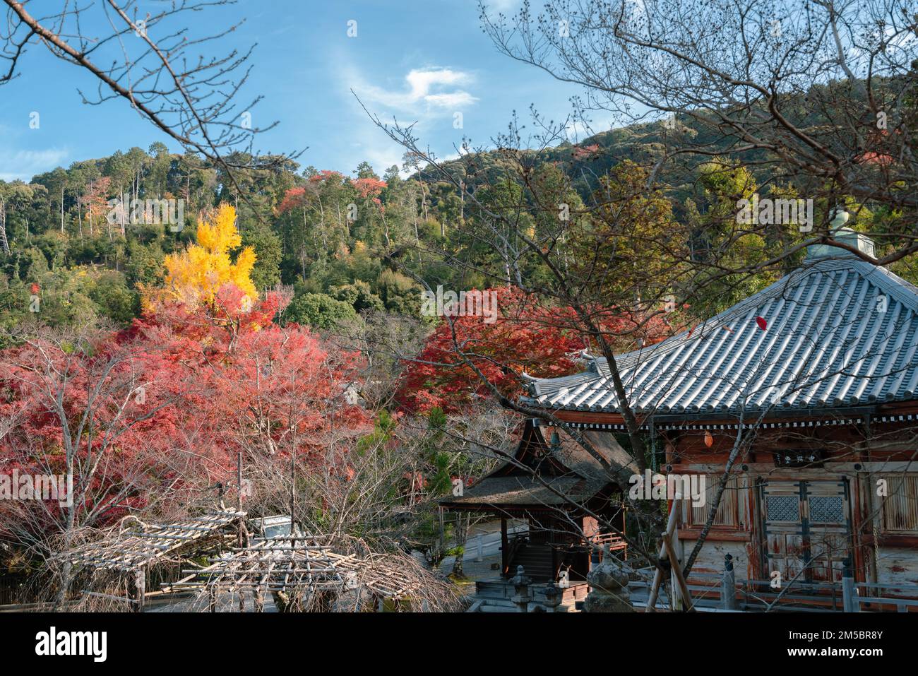 Temple Kiyomizu-dera et forêt d'automne à Kyoto, Japon Banque D'Images