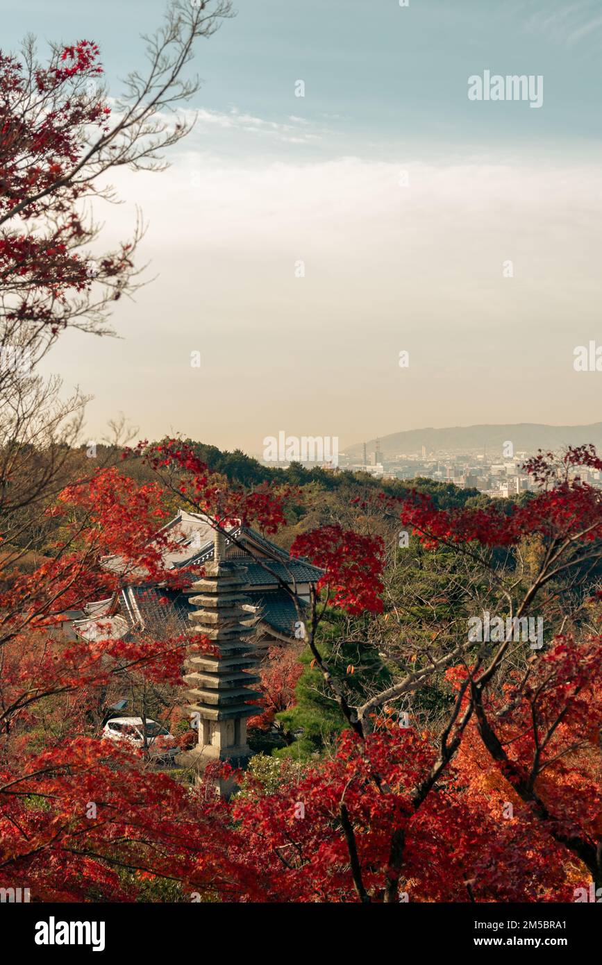 Temple Kiyomizu-dera et feuilles rouges d'automne à Kyoto, Japon Banque D'Images
