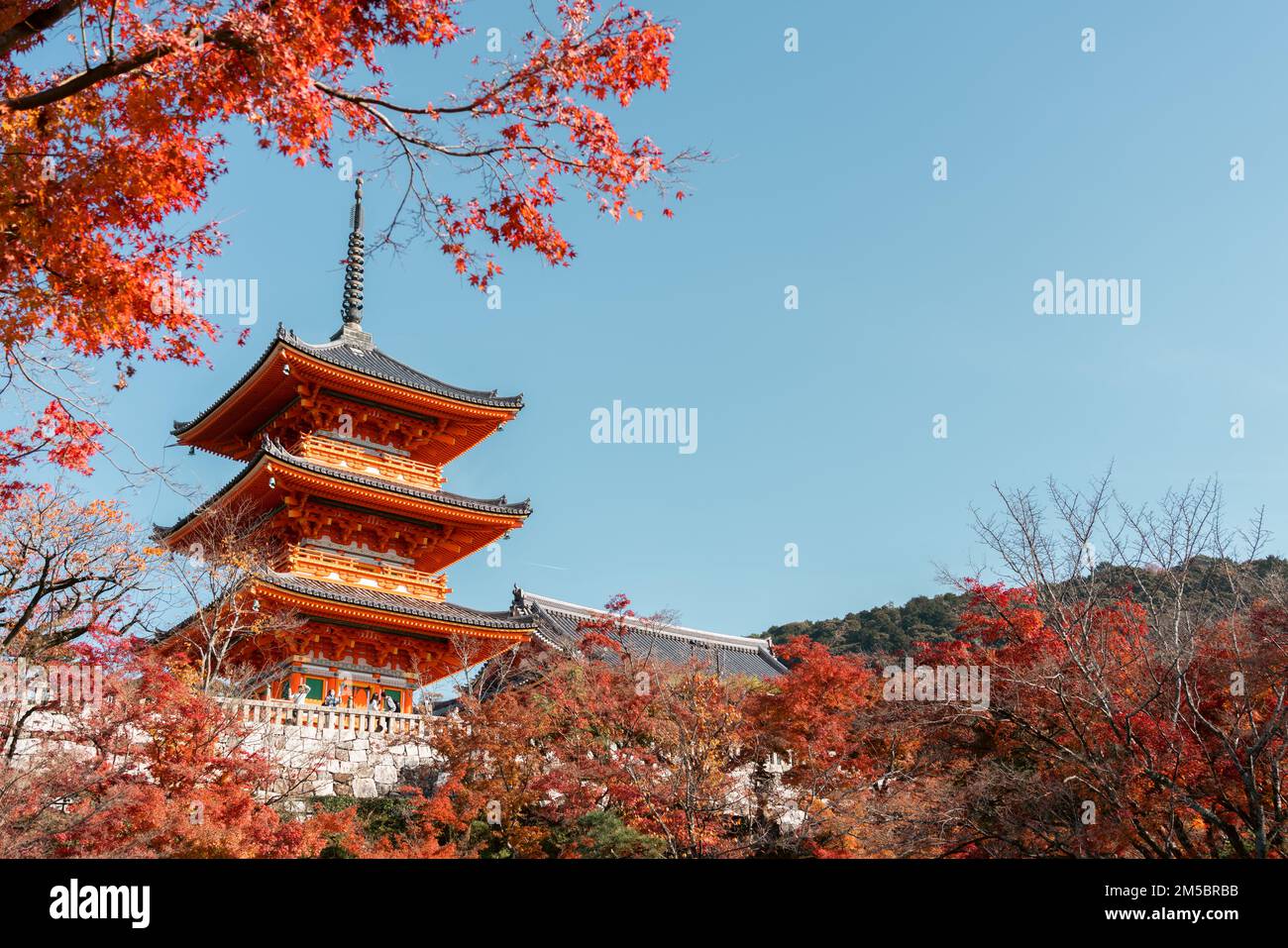 Temple Kiyomizu-dera et érable d'automne à Kyoto, Japon Banque D'Images