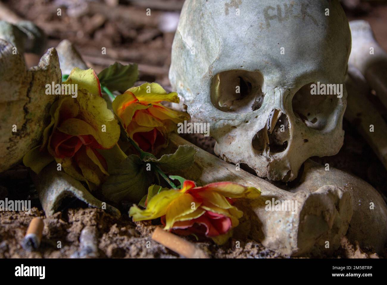 Des squelettes sont éparpillés dans le tombeau traditionnel de la tribu Toraja, Sulawesi du Sud, Indonésie. Banque D'Images