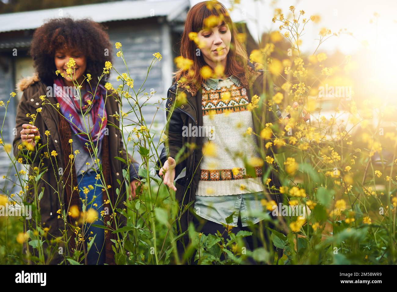 Deux heureux explorateurs. deux jeunes femmes heureux debout dans un champ de fleurs sauvages ensemble. Banque D'Images