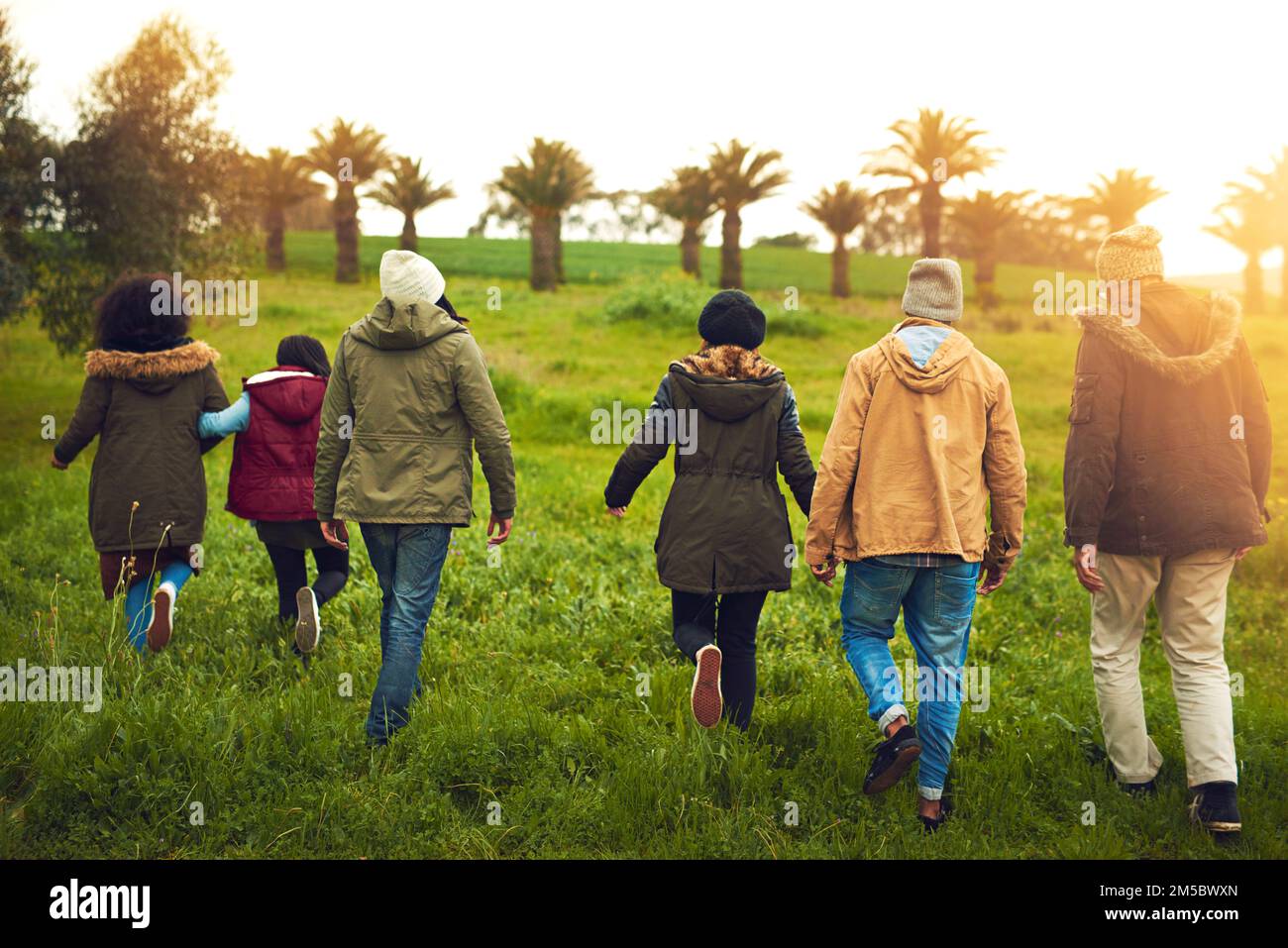 Tous ceux qui se promènent ne sont pas perdus. Vue arrière d'un groupe d'amis marchant dans un champ ensemble. Banque D'Images