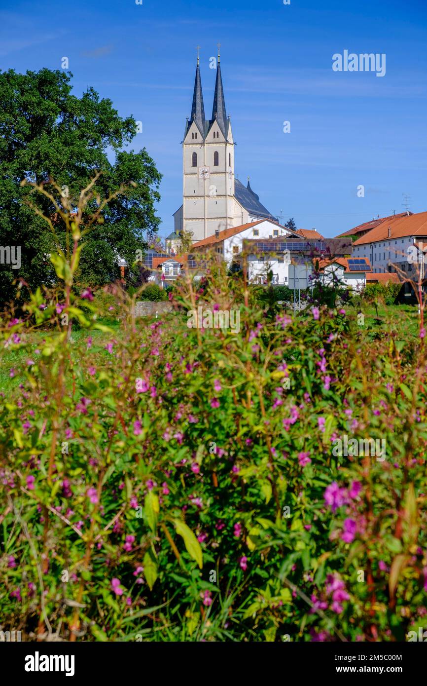 Église de pèlerinage de Saint Marie Assomption à Tuntenhausen, haute-Bavière, Bavière, Allemagne Banque D'Images