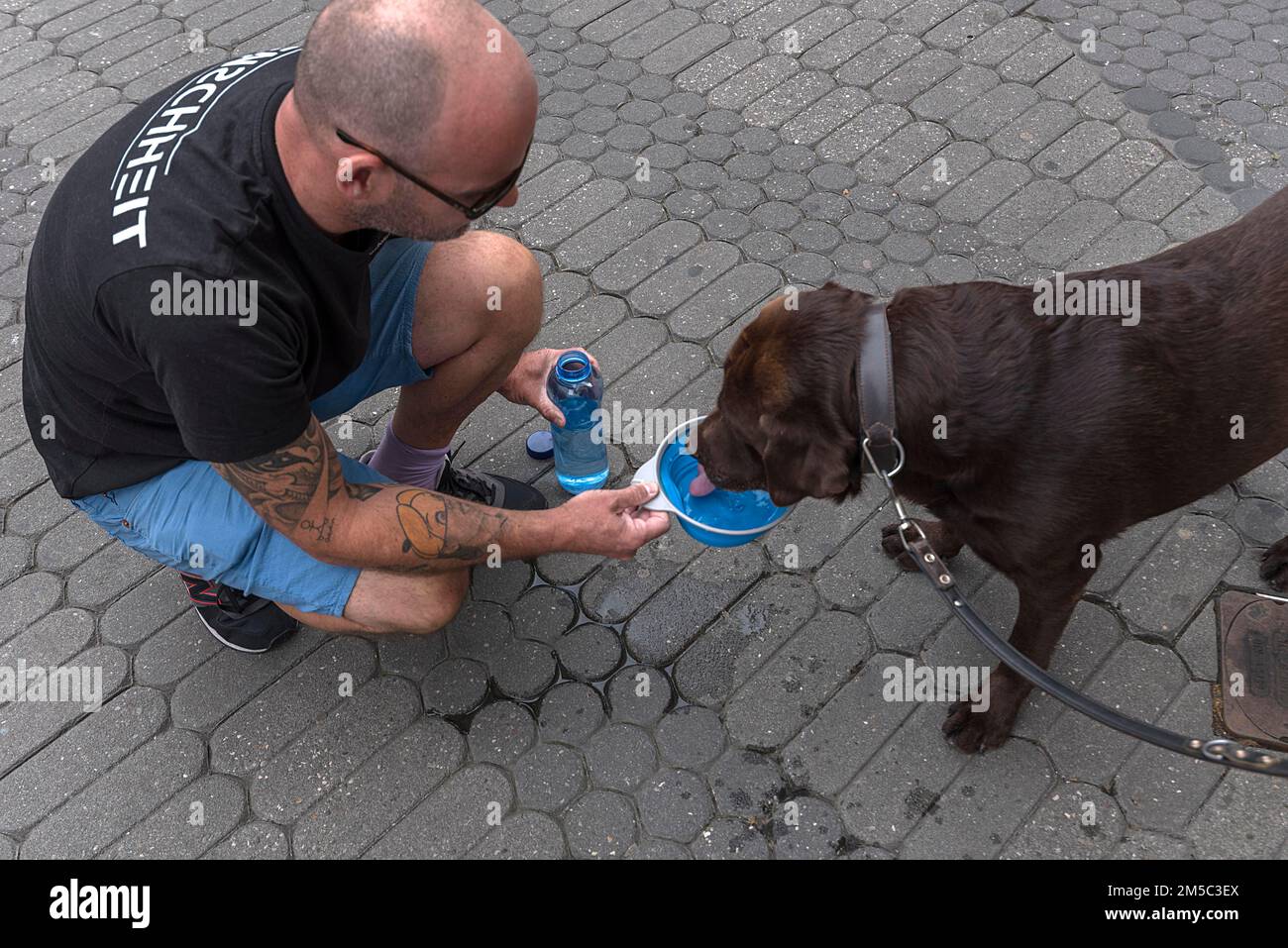 Homme donnant de l'eau à son Labrador dans un bol dans la ville, Bavière, Allemagne Banque D'Images