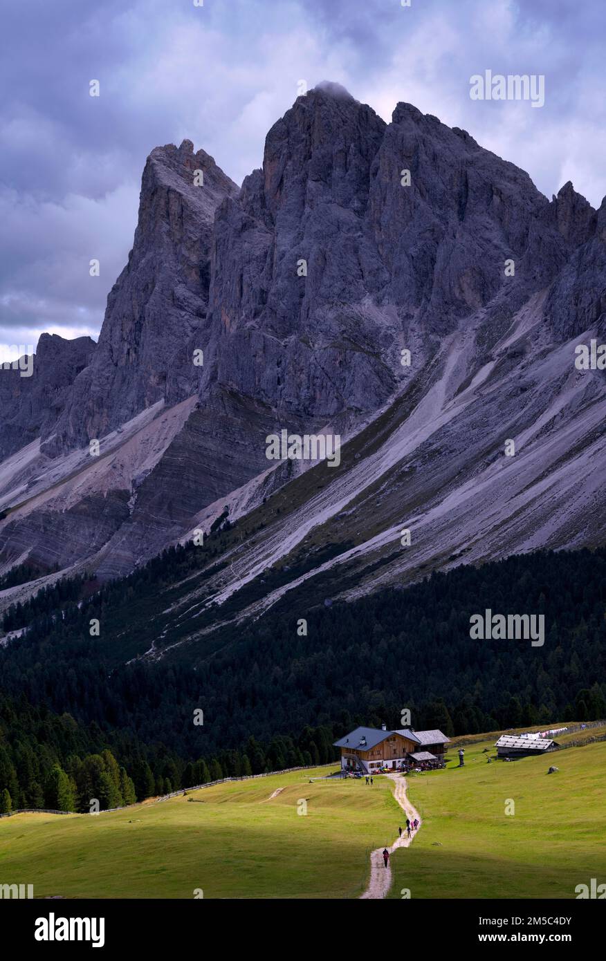 Sentier de randonnée vers l'Alm de Brogles, Rasciesa, Resciesa, en arrière-plan Geisler Group, Val Gardena, Trentin, Tyrol du Sud, Italie Banque D'Images