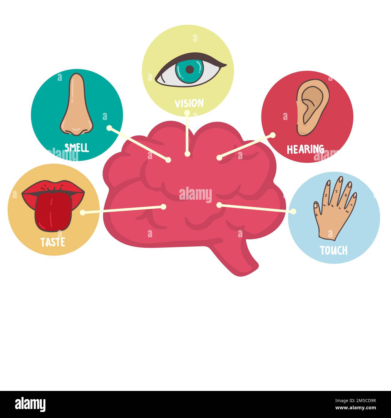 Cinq icônes de ligne Human Senses sont définies. Icônes de vision, d'odeur, d'ouïe, de toucher et de goût. Organes sensoriels humains. Jeu d'icônes pour les yeux, le nez, l'oreille et la bouche Illustration de Vecteur