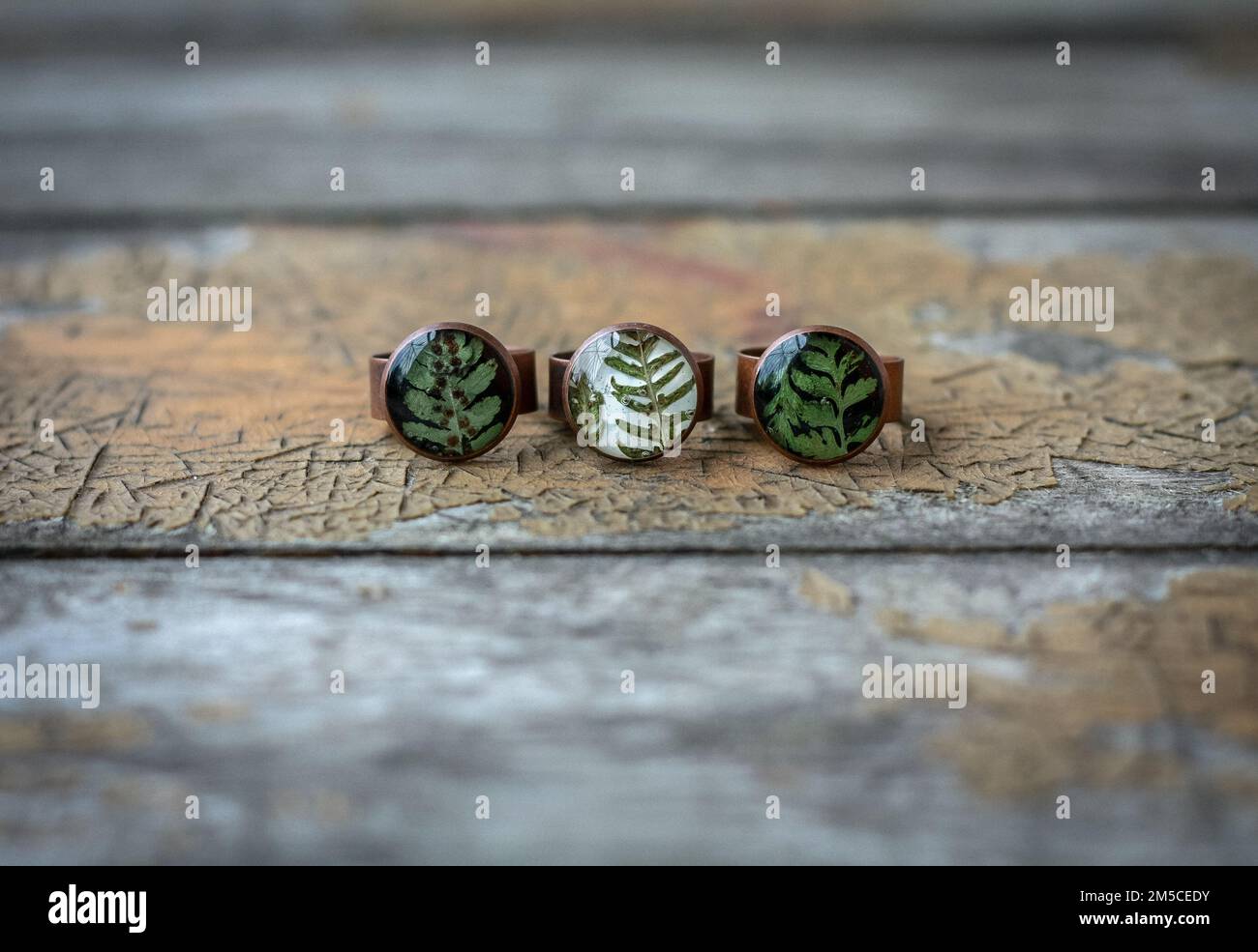 Gros plan sur des anneaux artisanaux avec des feuilles laquées fraîches photo concept Banque D'Images