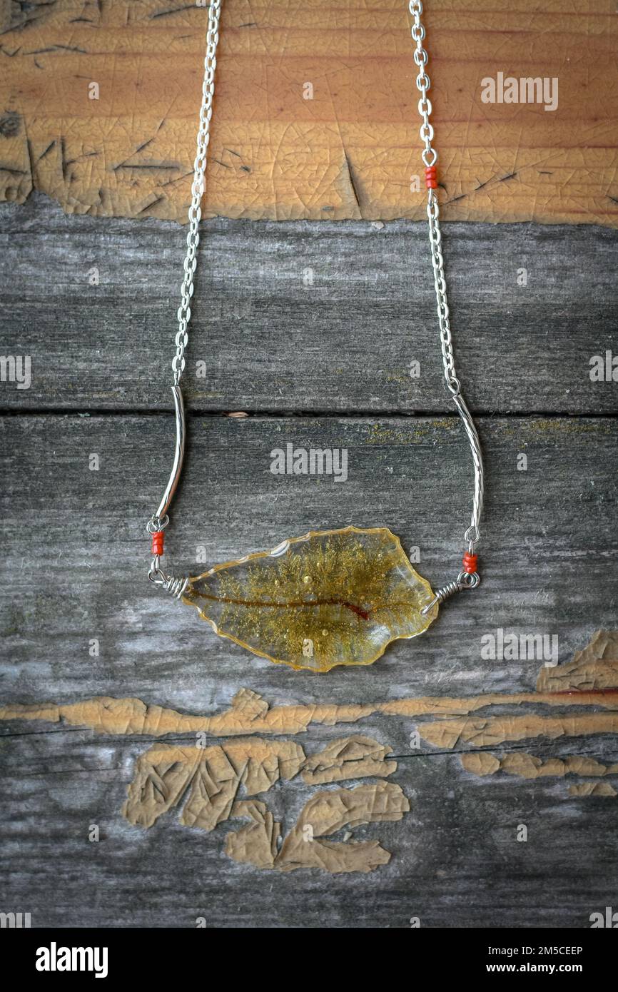 Pendentif gros plan avec feuille sèche à l'intérieur de la photo concept Banque D'Images