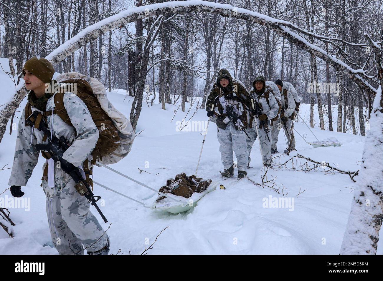 ÉTATS-UNIS Corps de mer tous les effets de domaine équipe, 2nd Air Naval Gunfire liaison Company, II Marine Expeditionary Force information Group, randonnée pendant un exercice de terrain en préparation à l'exercice Cold Response 2022, Setermoen, Norvège, 3 mars 2022. L'exercice Cold Response '22 est un exercice biennal de préparation nationale et de défense norvégien qui a lieu dans toute la Norvège, avec la participation de chacun de ses services militaires, ainsi que de 26 autres nations alliées de l'Organisation du Traité de l'Atlantique Nord et partenaires régionaux. Banque D'Images