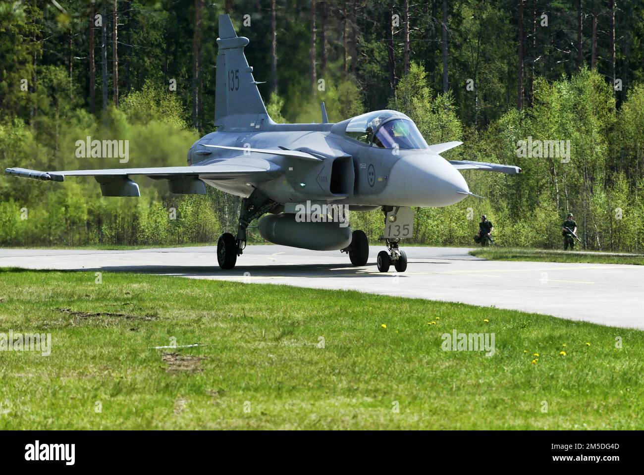 Dimanche, le Commandant suprême a visité la base aérienne Hagshult pendant l'exercice 04 de la Force aérienne (en suédois : Flygvapenövning-04), où, entre autres, le Jas 39 Gripen a été piloté. Banque D'Images