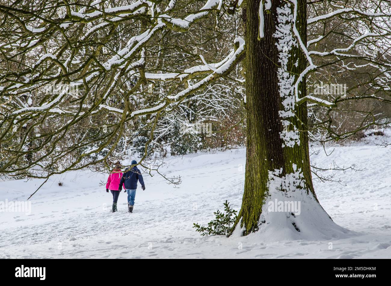 Un couple marchant dans la neige à Alfreton Park, Derbyshire, Angleterre Banque D'Images