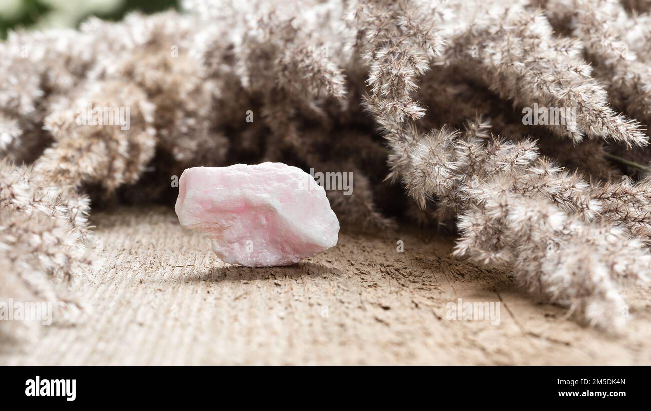 Manganocalcite rose non coupée brute ou calcite de Manganoan Specimen pierre sur fond de bois. Collection de minéraux naturels et de pierres de guérison Banque D'Images