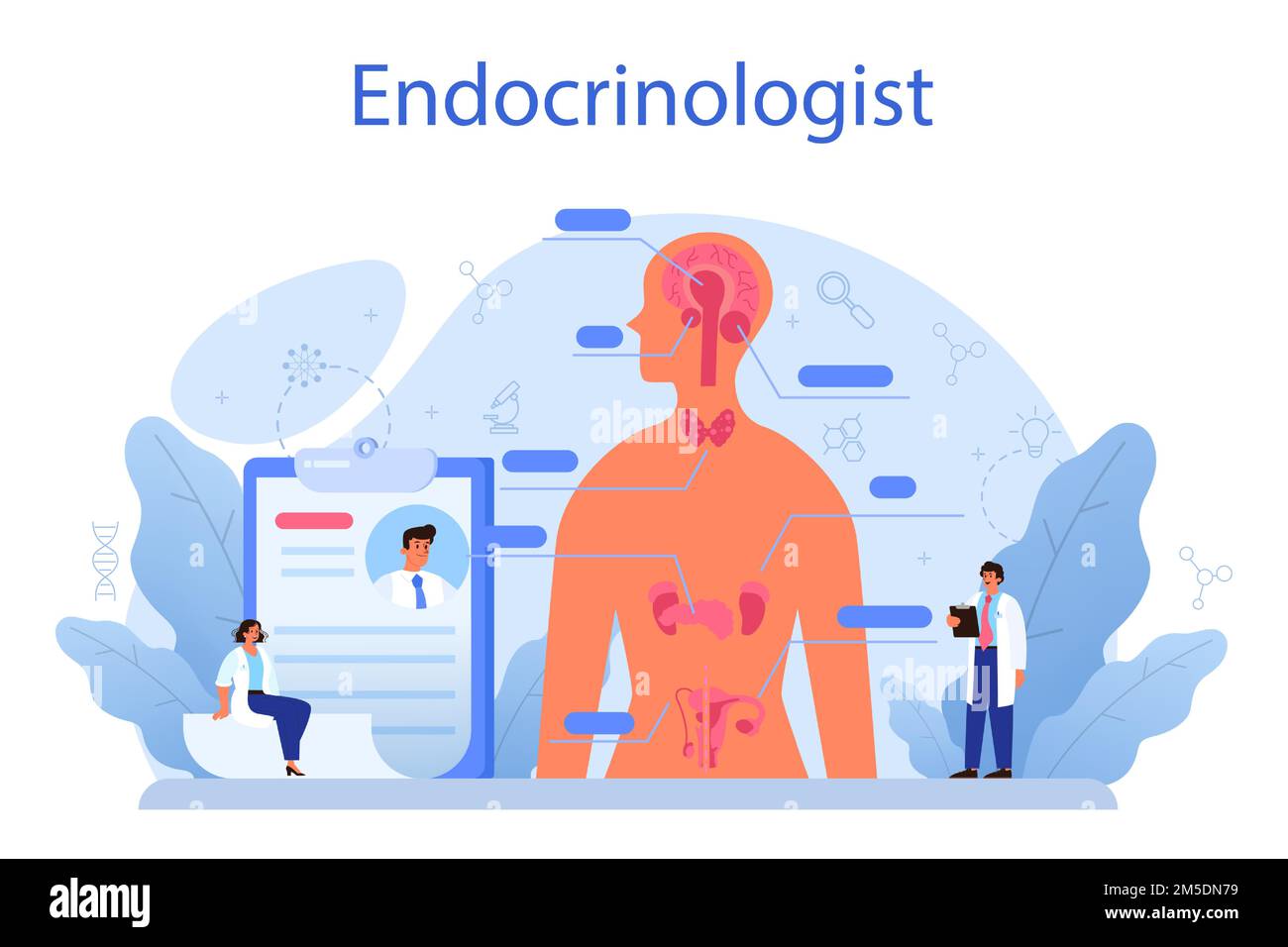 Concept endocrinologue. Examen de la thyroïde. Médecin examiner l'hormone et le glucose. Idée de santé et de traitement médical. Illustrat vectoriel plat isolé Illustration de Vecteur