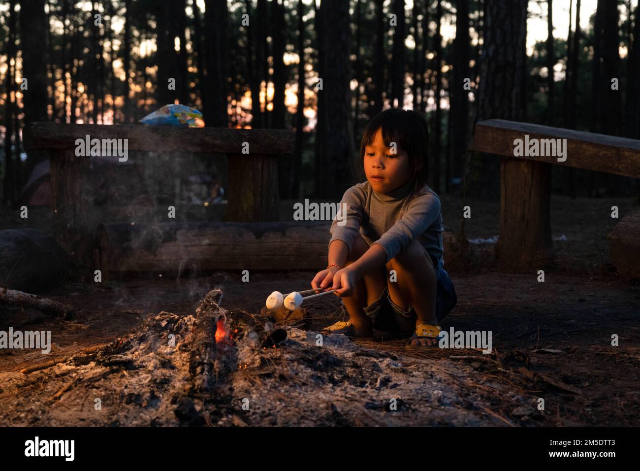 De jolies petites sœurs rôtisent des guimauves sur un feu de camp. Les enfants s'amusent au feu de camp. Camping avec enfants dans la pinède d'hiver. Bonne famille Banque D'Images
