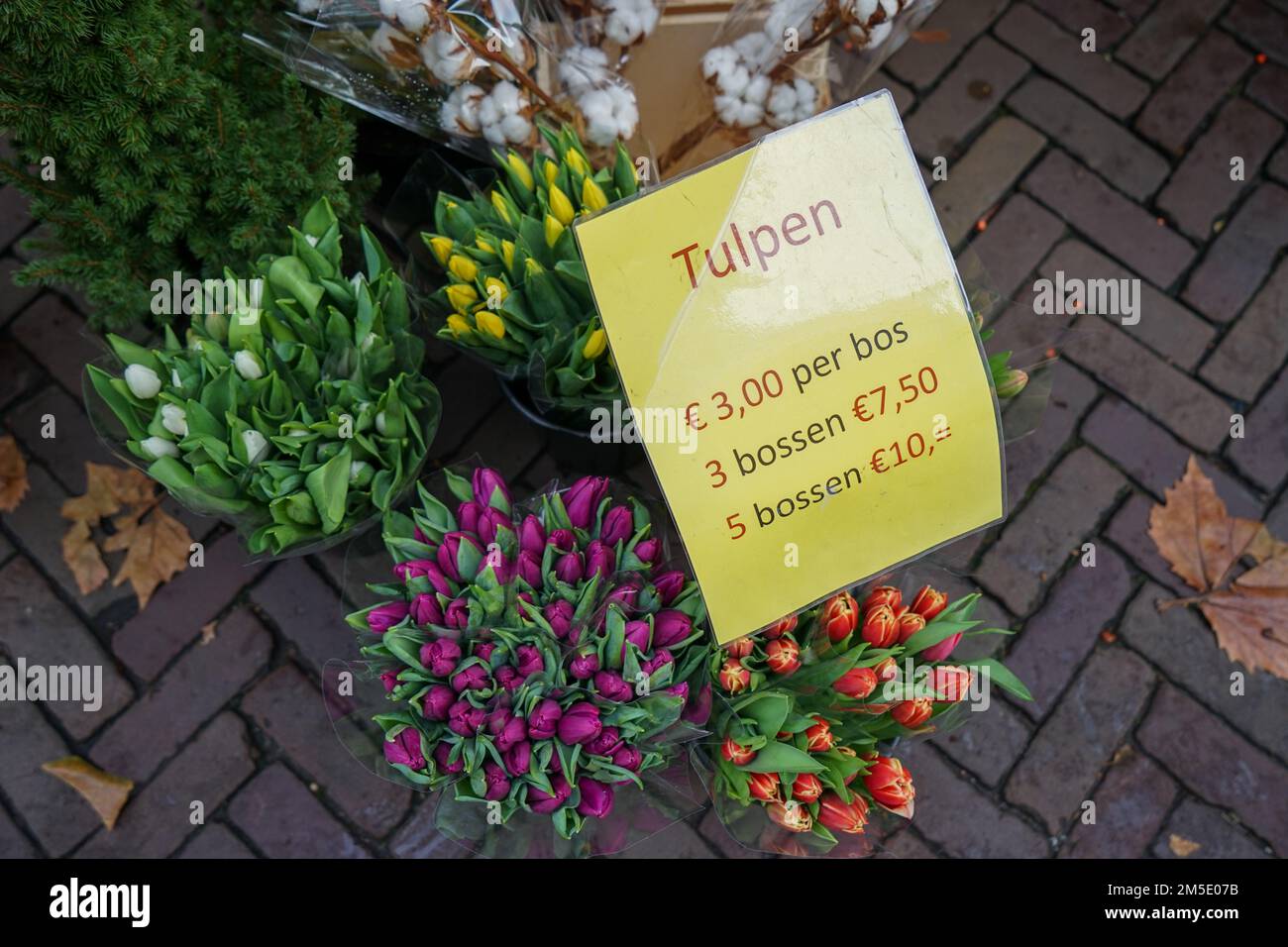 Bouquets de tulipes colorés avec leurs prix sur un marché aux fleurs Banque D'Images