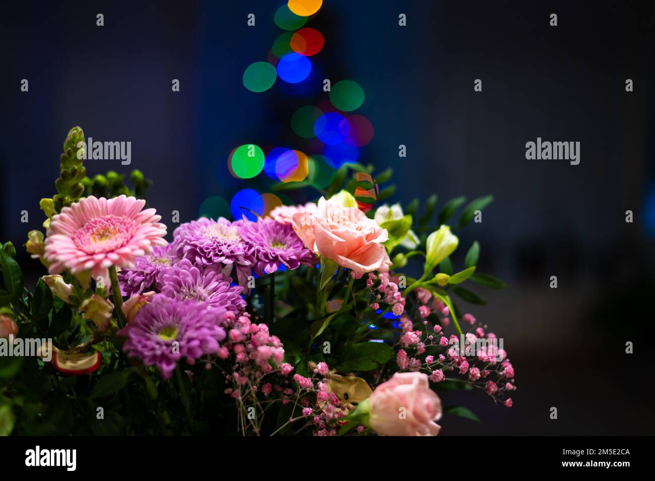 Bouquet de fleurs de gerbera placé devant l'arbre de noël Banque D'Images