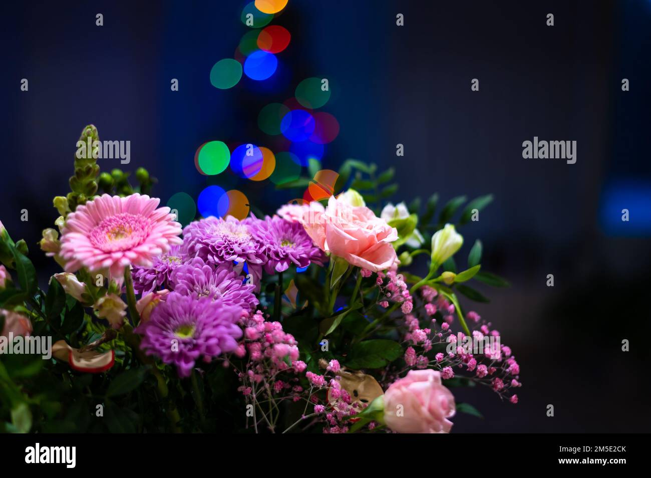 Bouquet de fleurs de gerbera placé devant l'arbre de noël Banque D'Images