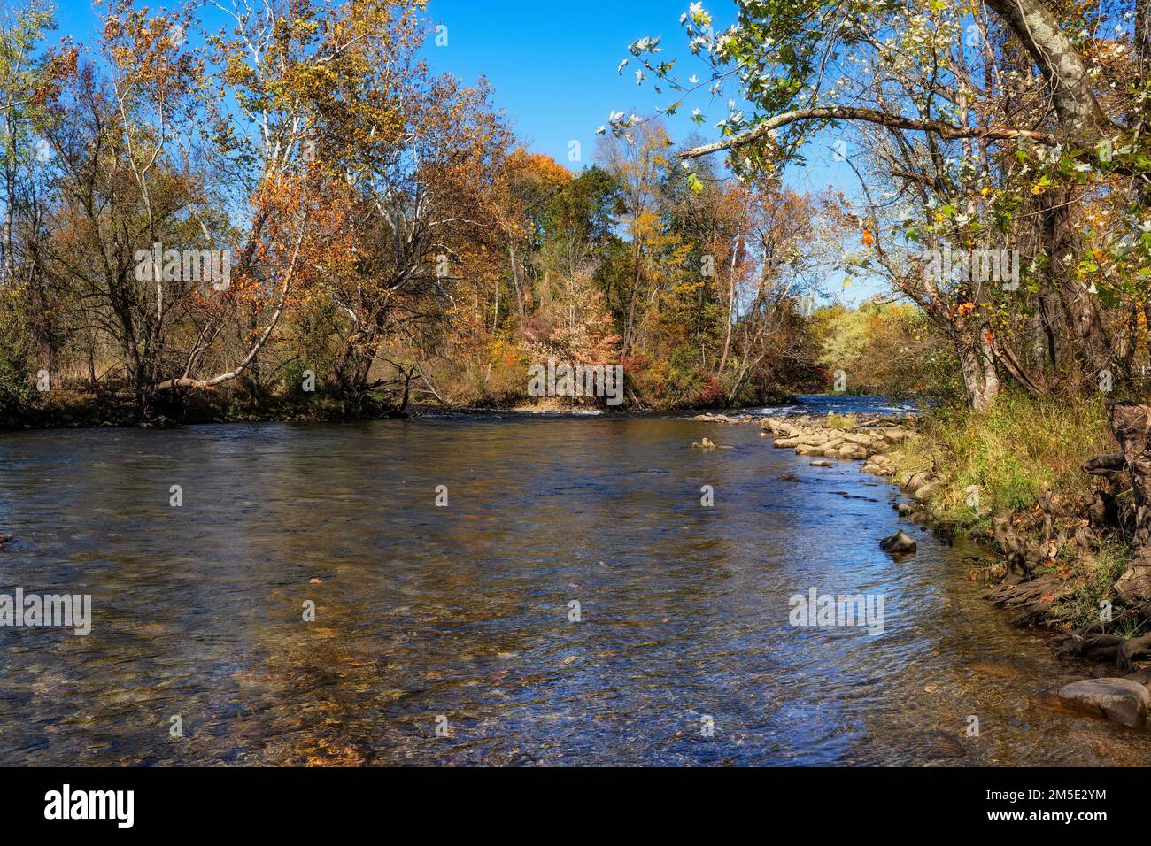 Couleurs d'automne le long de la rivière Watauga sous un ciel bleu au parc national Sycamore Shoal à Elizabethan, Tennessee, États-Unis. Banque D'Images