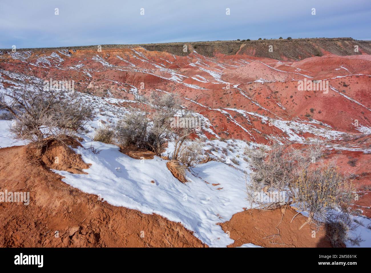 Parc national de Painted Desert en Arizona Banque D'Images