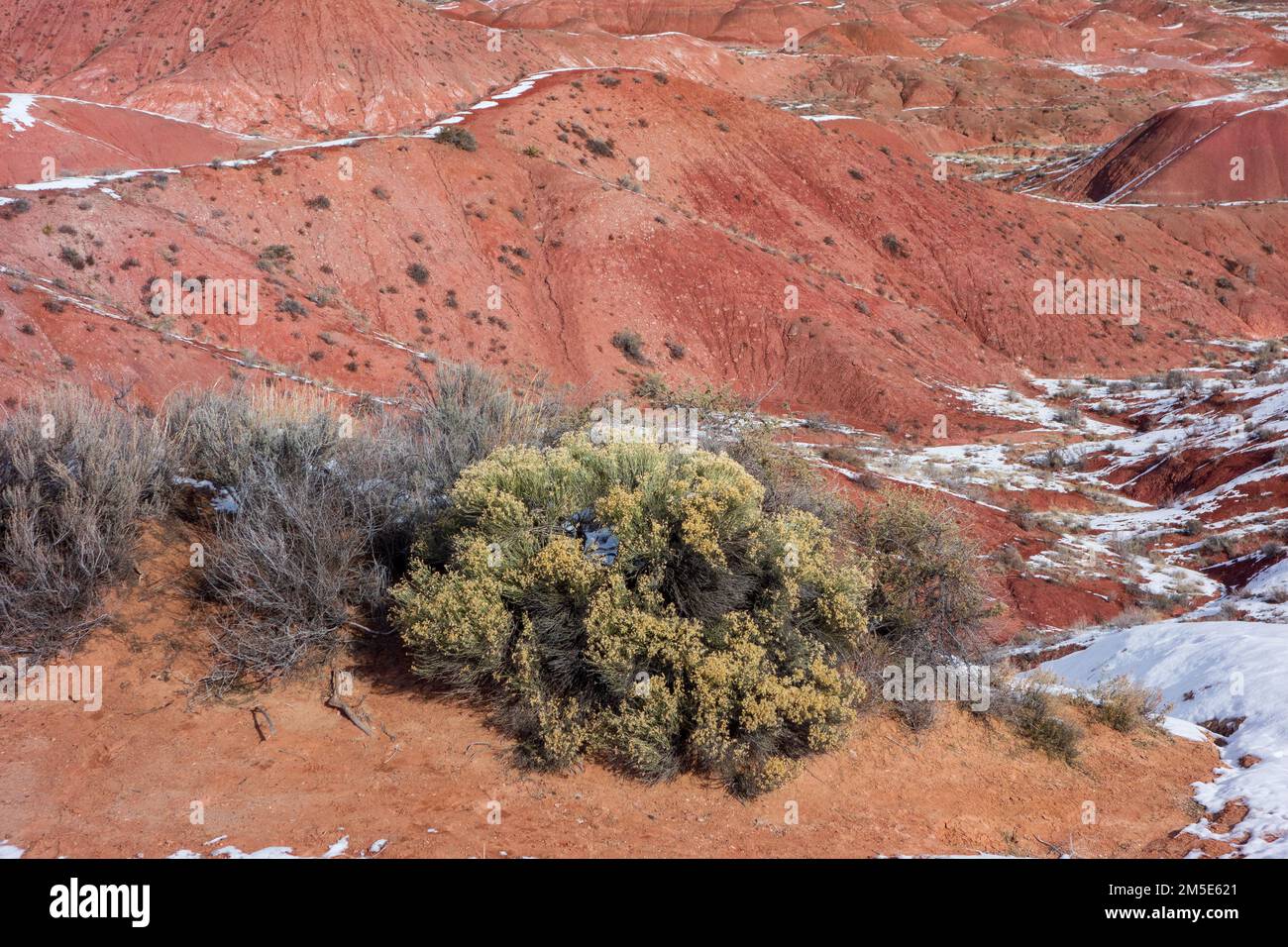 Parc national de Painted Desert en Arizona Banque D'Images