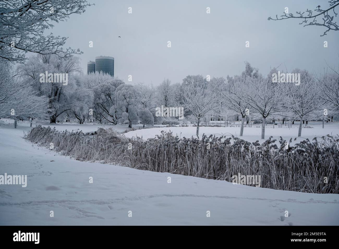 Couvert de neige et de rivière givrée dans le parc public de Riga, Lettonie. Paysage d'hiver Banque D'Images