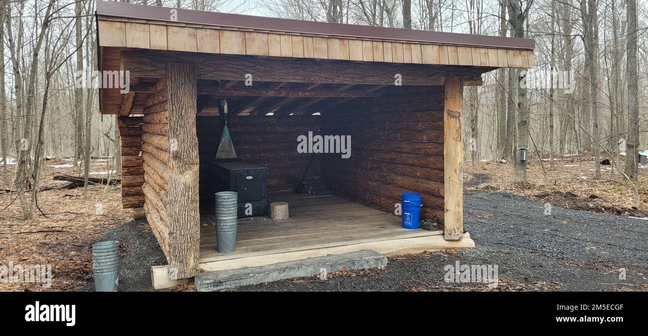 Les forestiers de fort Drum ont construit un Lean-to en 2020 près d'un ...