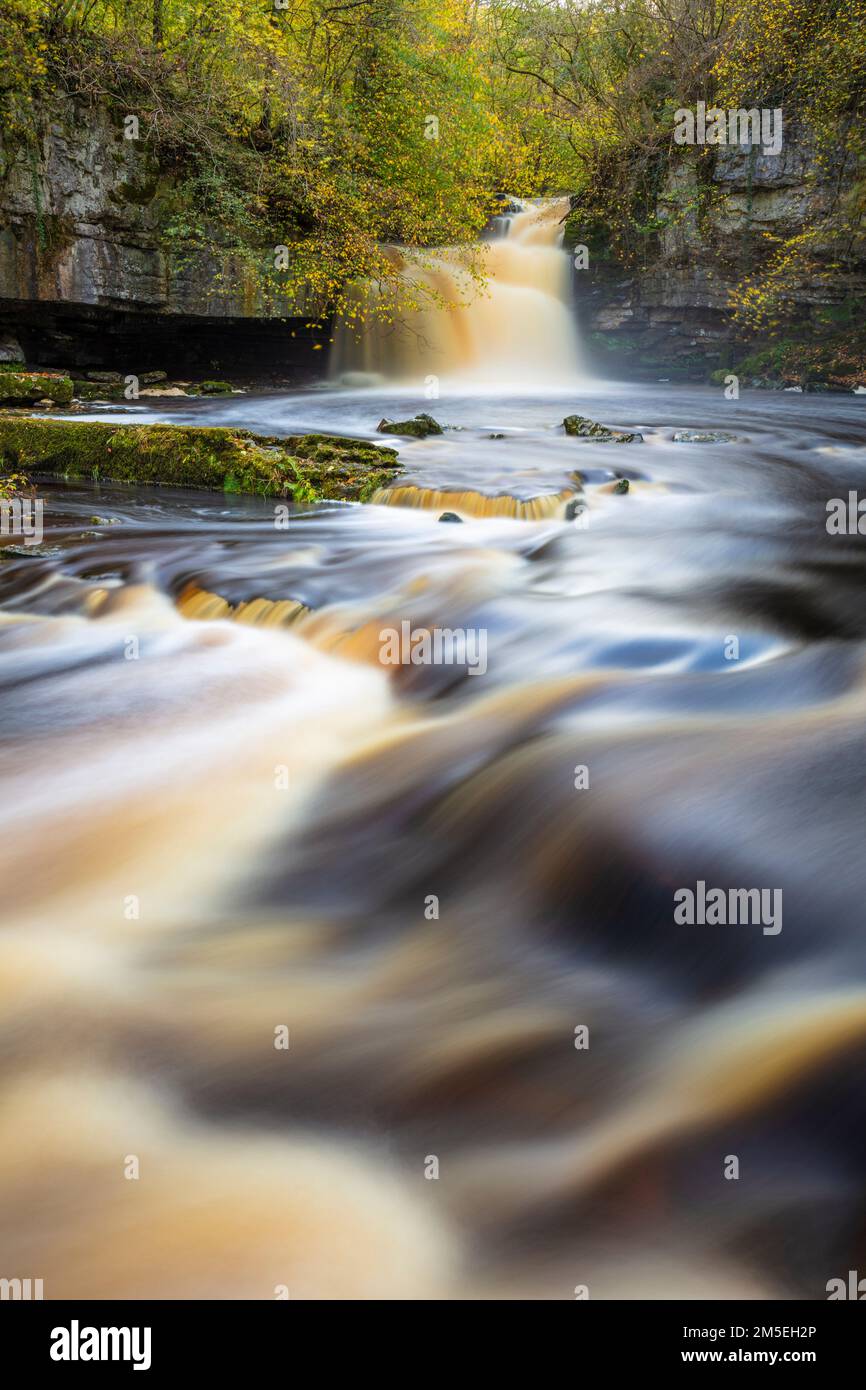 Chutes de Wensleydale West Burton ou chutes de Cauldron aux couleurs automnales Parc national de Wensleydale Yorkshire Dales North Yorkshire Angleterre GB Europe Banque D'Images