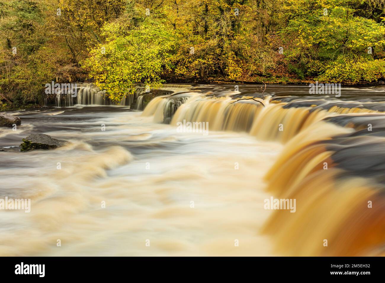 Wensleydale Upper Aysgarth tombe sur la rivière Ure avec des couleurs d'automne Parc national de Wensleydale Yorkshire Dales North Yorkshire Angleterre GB Europe Banque D'Images