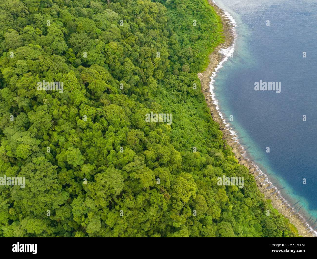 Une île tropicale luxuriante est bordée d'un récif de corail dans les îles Salomon. Ce beau pays abrite une biodiversité marine spectaculaire. Banque D'Images