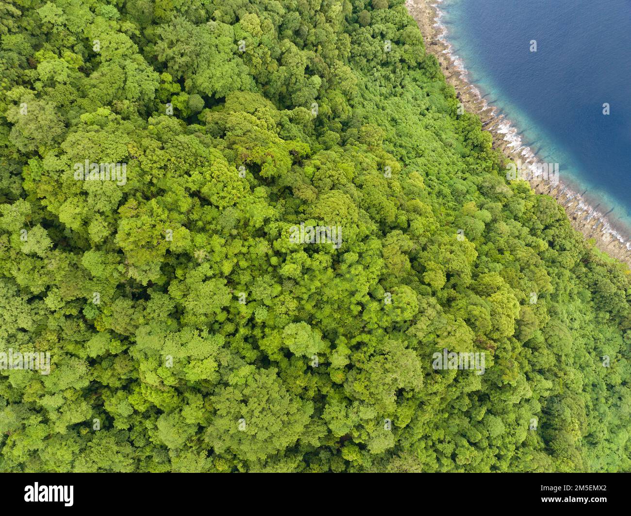 Une île tropicale luxuriante est bordée d'un récif de corail dans les îles Salomon. Ce beau pays abrite une biodiversité marine spectaculaire. Banque D'Images