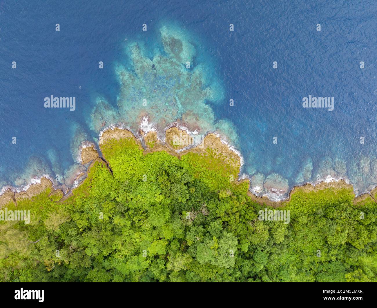 Une île tropicale luxuriante est bordée d'un récif de corail dans les îles Salomon. Ce beau pays abrite une biodiversité marine spectaculaire. Banque D'Images