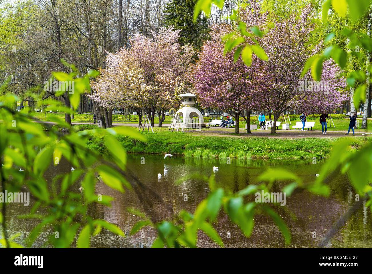 Lanterne en pierre japonaise. Île de Krestovsky. Saint-Pétersbourg. Banque D'Images
