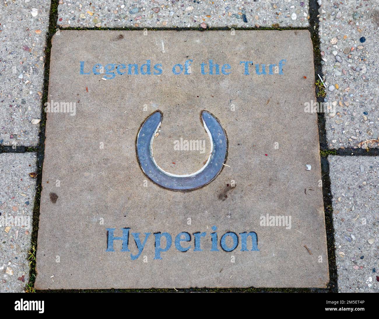 Hyperion on a Legends of the Turf paving TABS à Newmarket, Suffolk, Royaume-Uni Banque D'Images