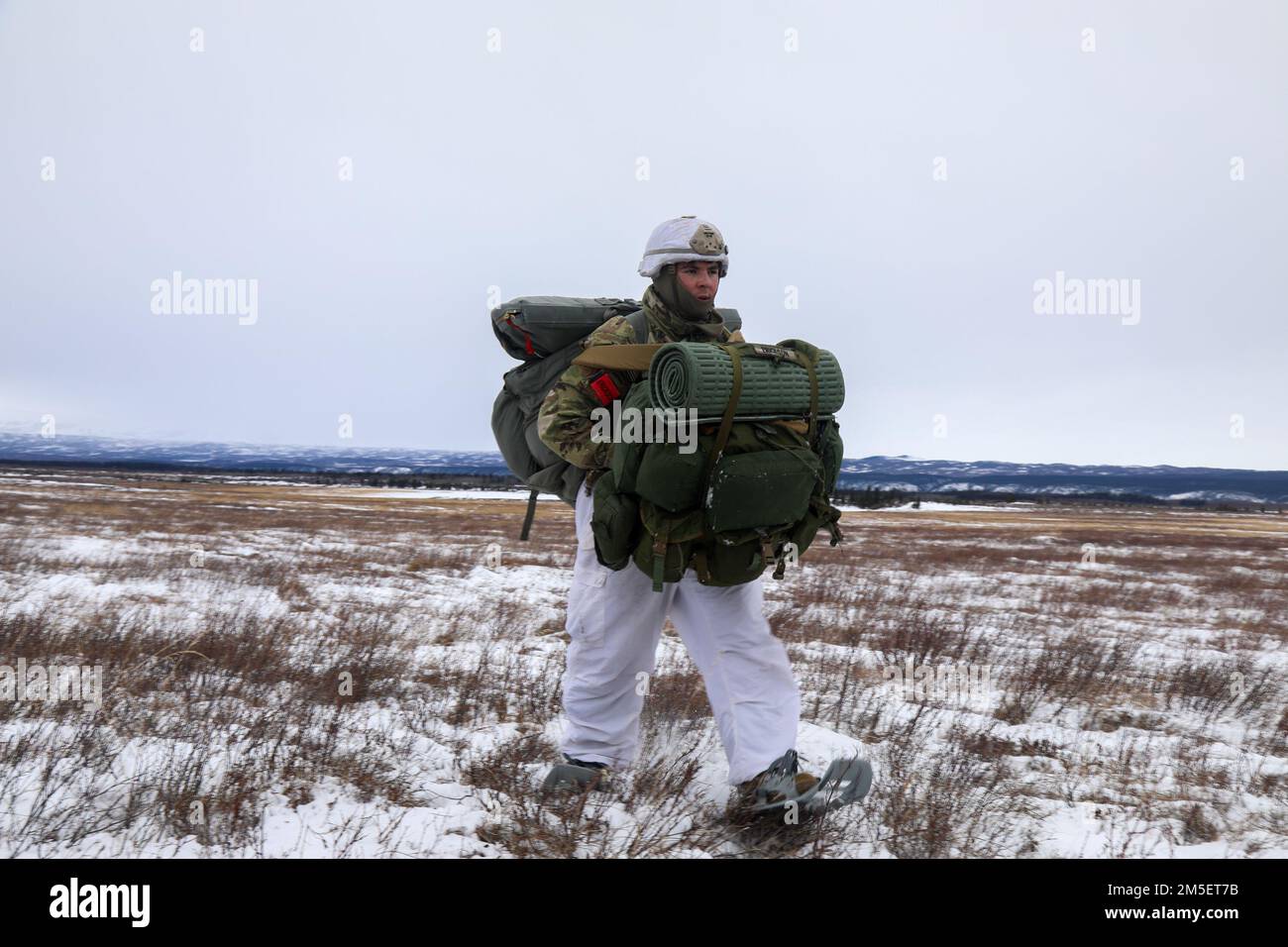 1st squadron 40th cavalry regiment Banque de photographies et d’images ...