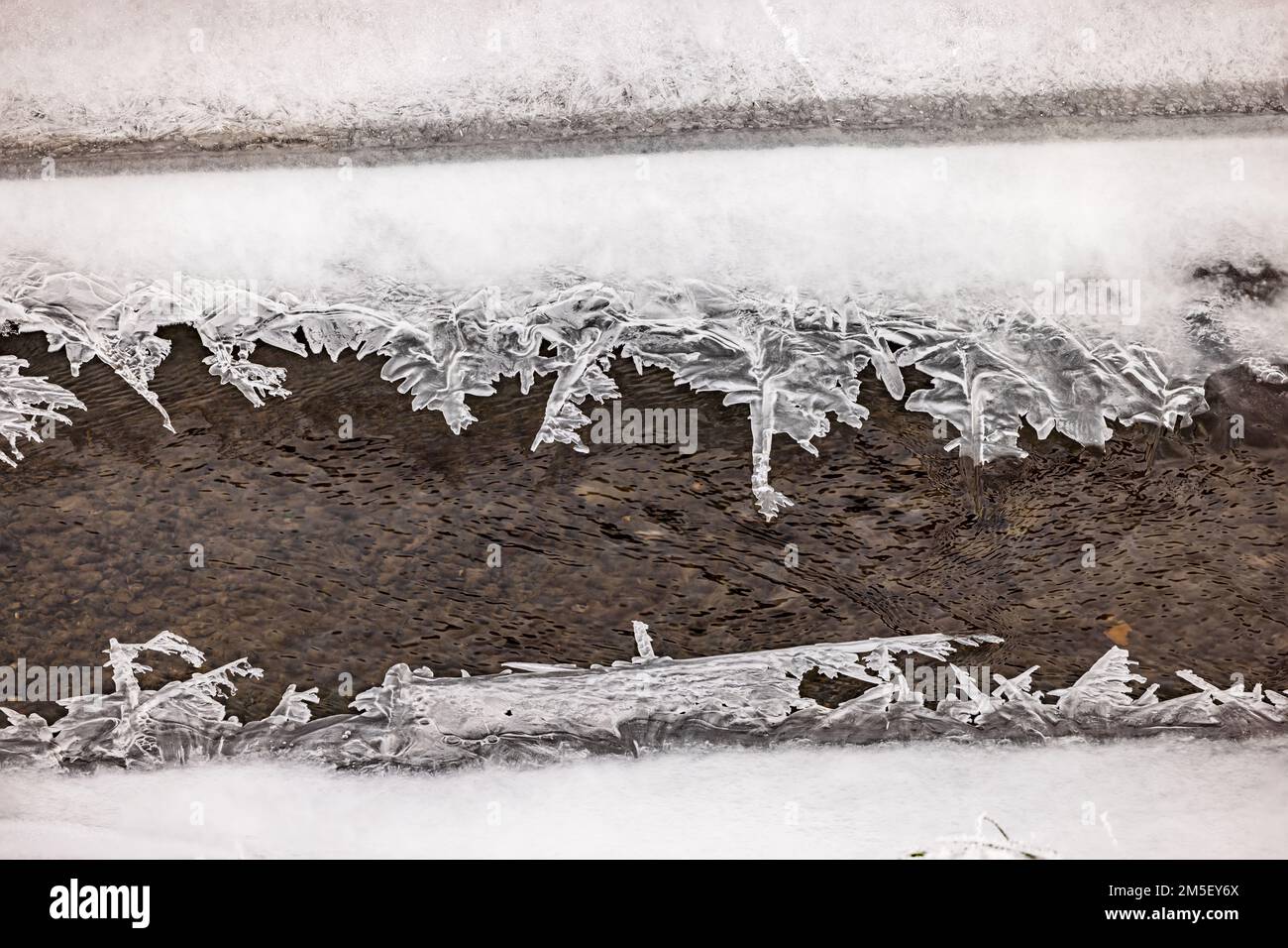 De beaux cristaux de glace de différentes formes sur un ruisseau en hiver avec une grande profondeur de champ Banque D'Images De beaux cristaux de glace de différentes formes sur un ruisseau en hiver avec une grande profondeur de champ Banque D'Images