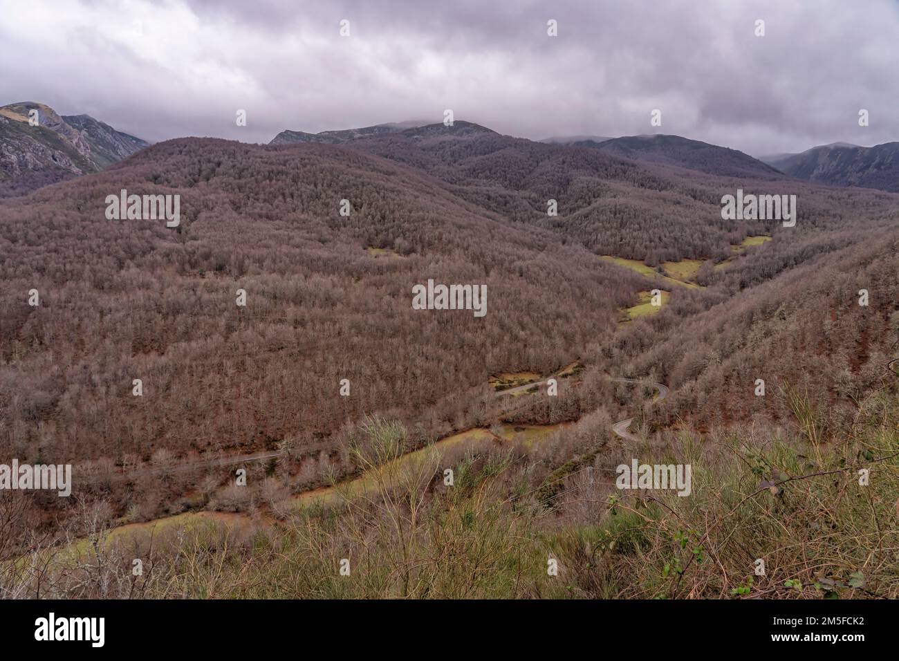 Forêts de Posada de Valdeon dans le parc national des Picos de Europa. Leon, Espagne Banque D'Images