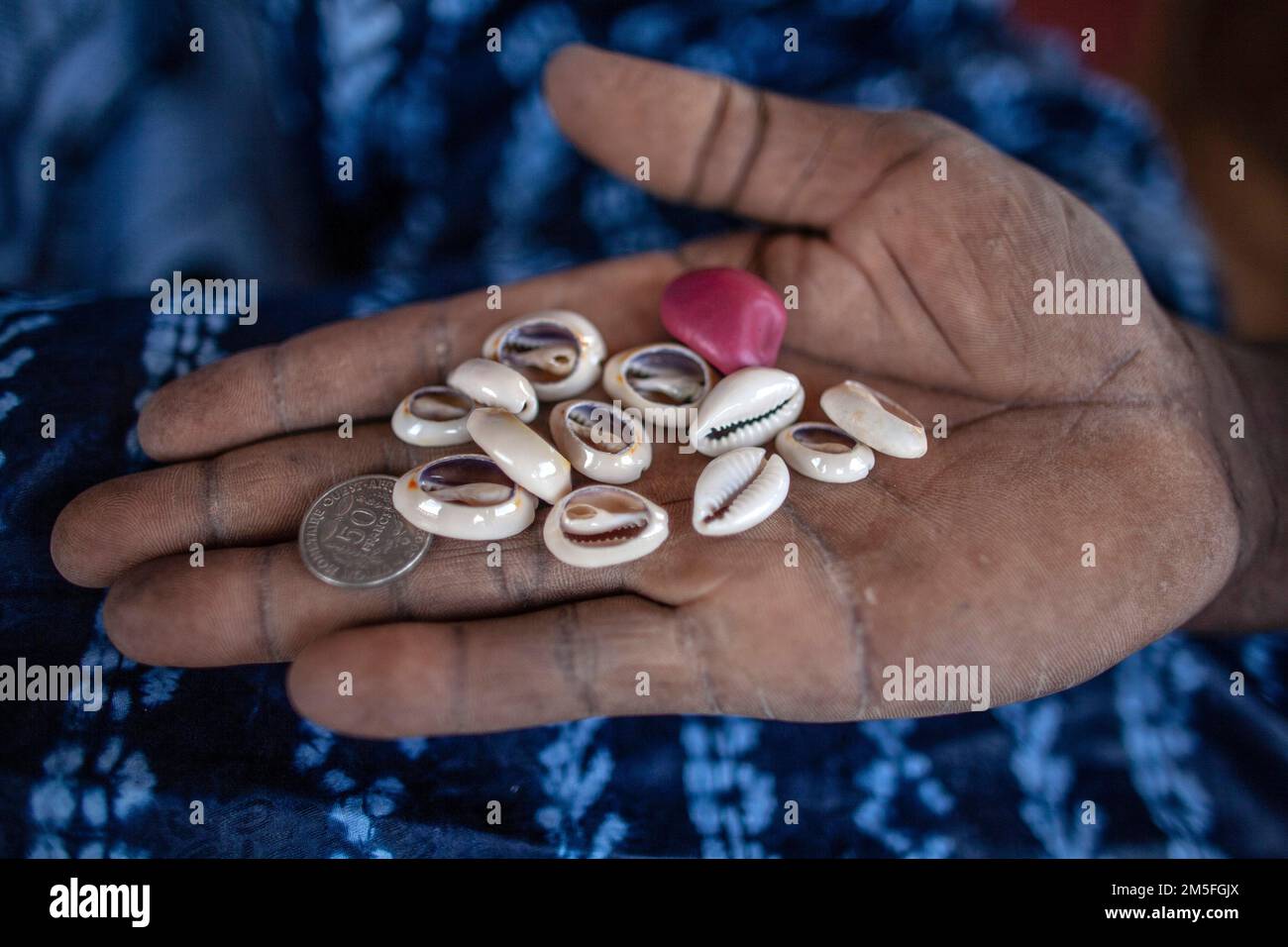Les coquilles de cowrie font partie des rituels en Afrique. Les coquilles de cowrie sont devenues un outil populaire dans les cérémonies de divination. Banque D'Images