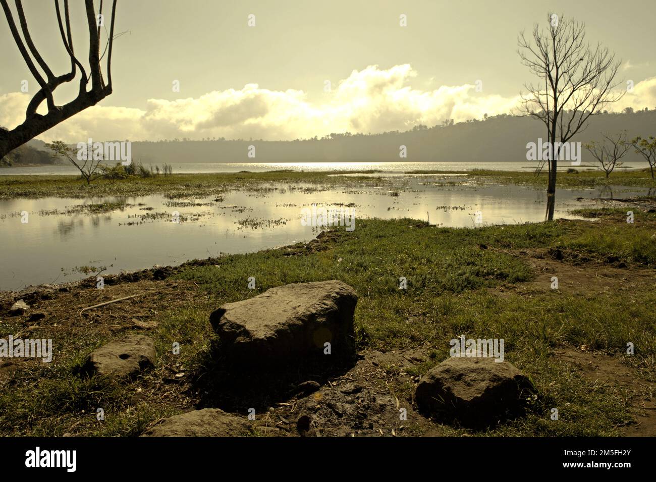 Lac Buyan à Bueleng, Bali, Indonésie. Les dommages causés à l'écosystème forestier ont causé le rétrécissement des lacs Buyan (photo) et Tamblingan qui soutiennent de nombreux villages de la régence de Bueleng, à Bali. Bali, une destination touristique tropicale bien connue, fait maintenant face à une crise de l'eau qui s'aggrave suite au développement du tourisme, à la croissance démographique et à la mauvaise gestion de l'eau, Victoria Milko et Andi Jatmiko, de l'Associated Press, ont rapporté le 13 décembre 2022. Banque D'Images