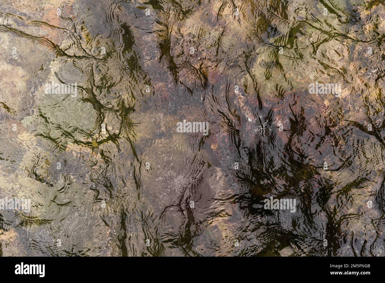 Papier peint sous-marin abstrait. Ondulation aquatique surface ondulée d'eau lilas, fond de texture d'eau Banque D'Images