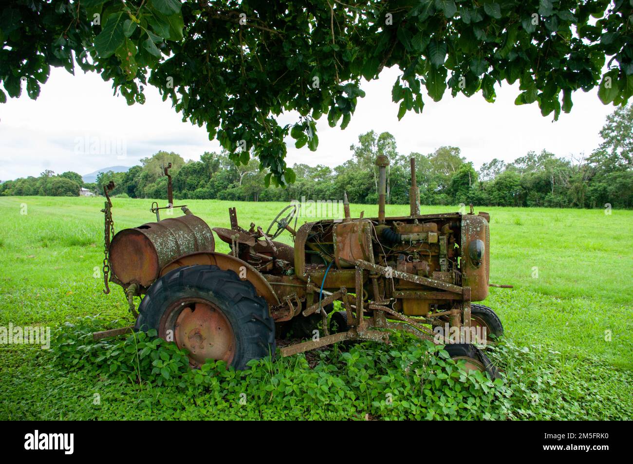 Tracteur Allis Chalmers D-272, abandonné Banque D'Images