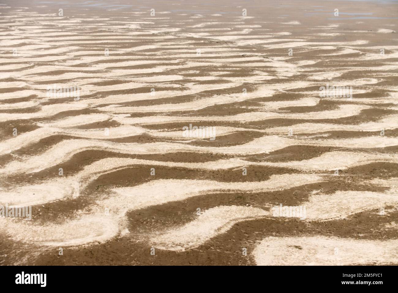 LA SÉCHERESSE, C'EST UN PAYSAGE TRÈS COMMUN AU BANGLADESH, QUAND CETTE PÉRIODE EST VENUE ALORS LES BANGLADAIS FONT FACE À UN MOMENT TRÈS CRUCIAL. Banque D'Images