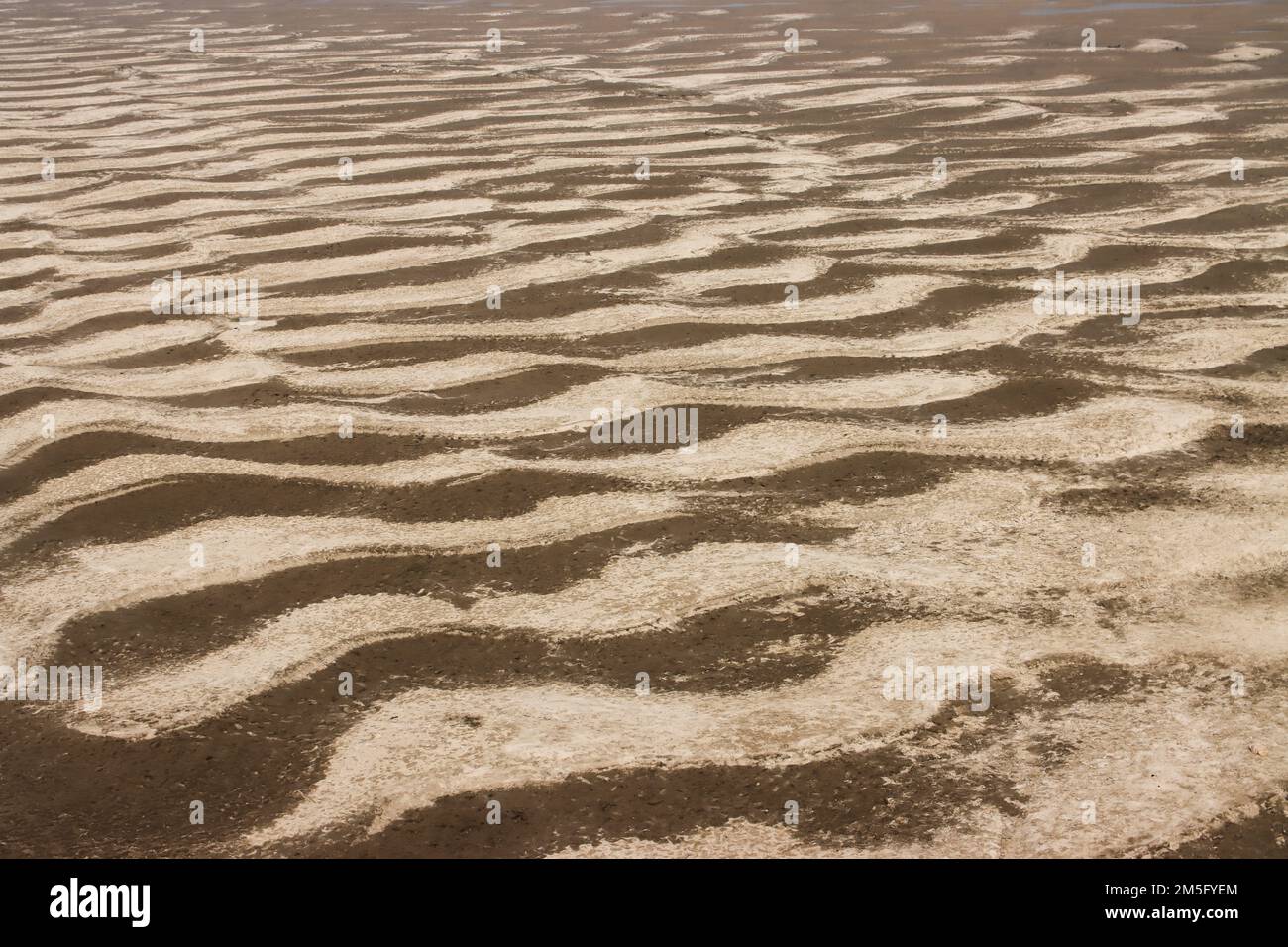 LA SÉCHERESSE, C'EST UN PAYSAGE TRÈS COMMUN AU BANGLADESH, QUAND CETTE PÉRIODE EST VENUE ALORS LES BANGLADAIS FONT FACE À UN MOMENT TRÈS CRUCIAL. Banque D'Images