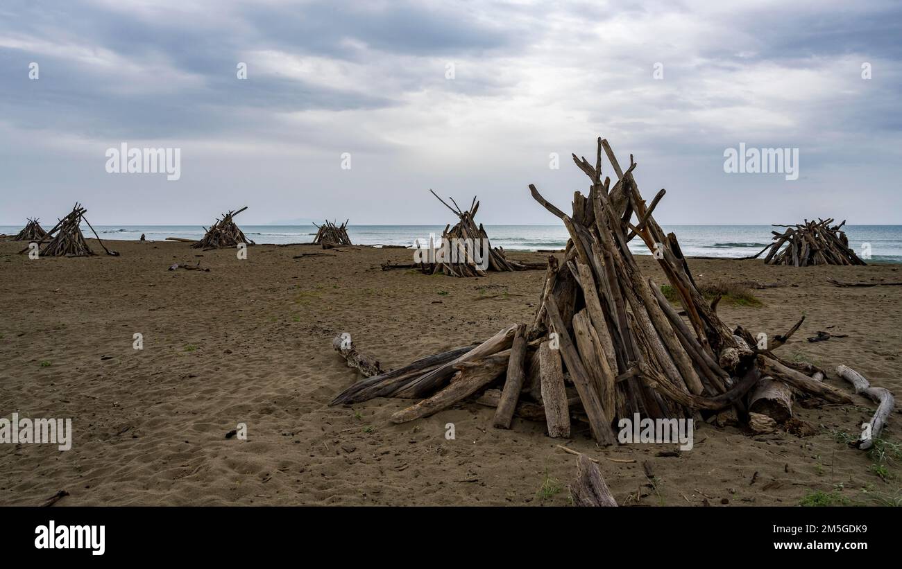 Driftwood structures sur une plage naturelle Parco Regionale della Maremma, Grossetto, Toscane, Italie Banque D'Images