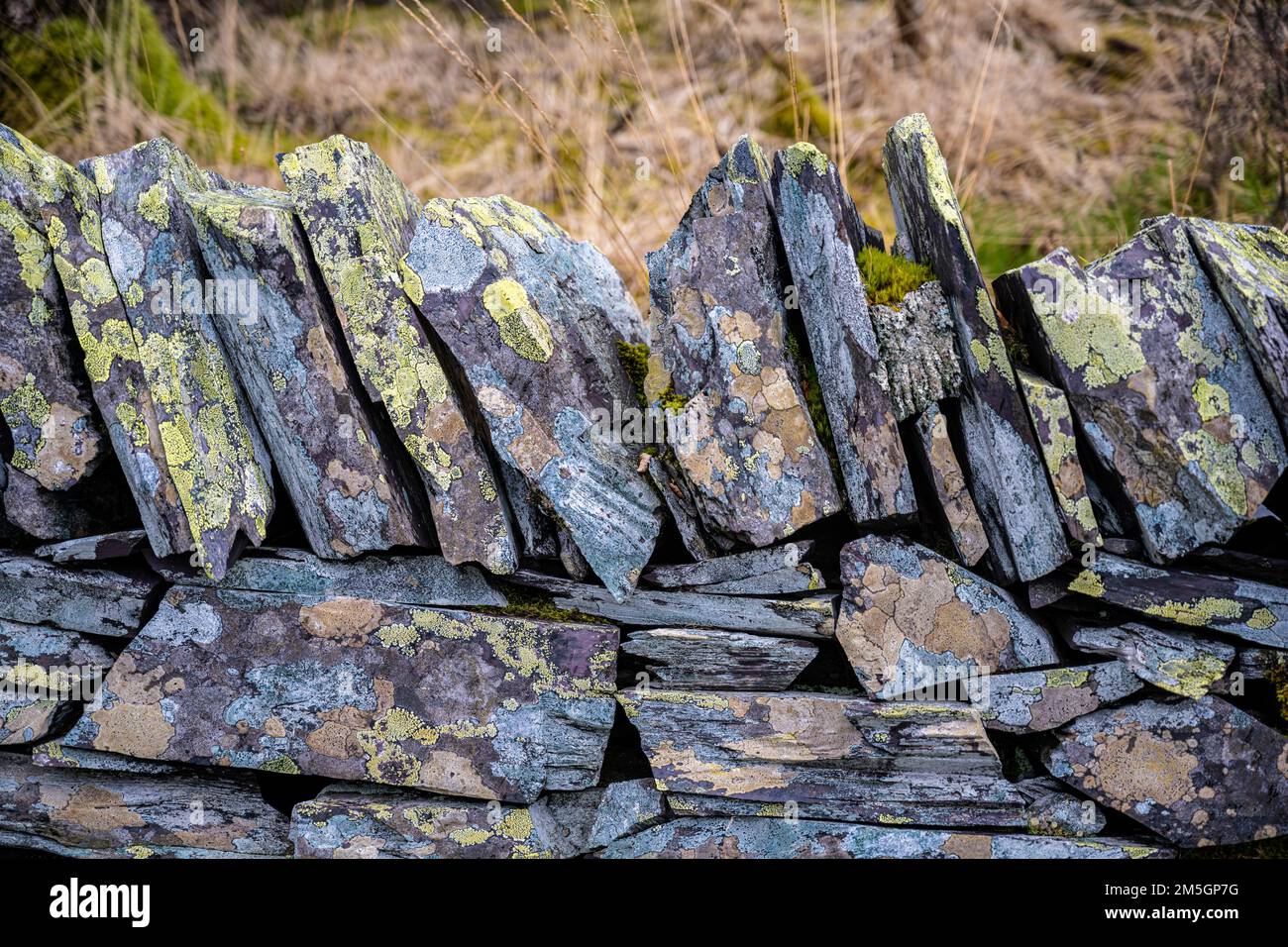 Détail d'un mur en pierre sèche avec de belles lichens Banque D'Images